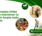 3 consejos útiles para mantener tu jardín limpio todo el año.