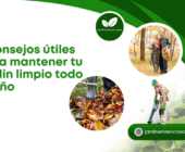3 consejos útiles para mantener tu jardín limpio todo el año.