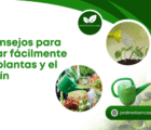 5 consejos para regar fácilmente las plantas y el jardín
