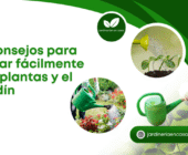 5 consejos para regar fácilmente las plantas y el jardín