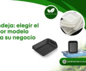 Bandeja: elegir el mejor modelo para su negocio.