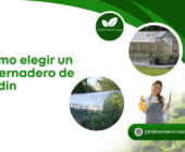 Cómo elegir un invernadero de jardín.
