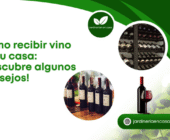 Cómo recibir vino en tu casa: ¡descubre algunos consejos!