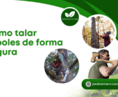 Cómo talar árboles de forma segura.