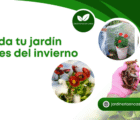 Cuida tu jardín antes del invierno.