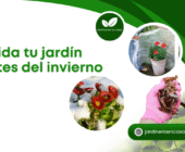 Cuida tu jardín antes del invierno.