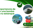 La importancia de tener una bomba para tu estanque.
