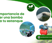 La importancia de tener una bomba para tu estanque.