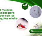 Las 3 mejores prácticas para acabar con los mosquitos al aire libre.