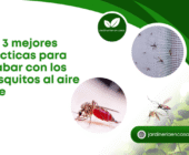 Las 3 mejores prácticas para acabar con los mosquitos al aire libre.