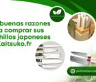 Las buenas razones para comprar sus cuchillos japoneses en Kaitsuko.fr