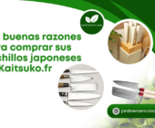 Las buenas razones para comprar sus cuchillos japoneses en Kaitsuko.fr