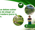 Lo que debes saber antes de elegir un invernadero para tu jardín.