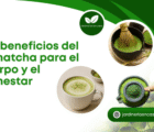 Los beneficios del té matcha para el cuerpo y el bienestar.