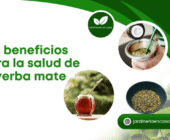 Los beneficios para la salud de la yerba mate.