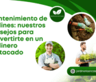 Mantenimiento de jardines: nuestros consejos para convertirte en un jardinero destacado