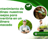 Mantenimiento de jardines: nuestros consejos para convertirte en un jardinero destacado