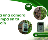 Usa una cámara trampa en tu jardín.