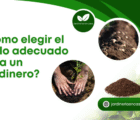 ¿Cómo elegir el suelo adecuado para un Jardinero?