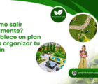 ¿Cómo salir fácilmente? | Establece un plan para organizar tu jardín