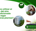 ¿Cómo utilizar el agua del aire acondicionado para regar nuestras plantas?