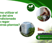¿Cómo utilizar el agua del aire acondicionado para regar nuestras plantas?