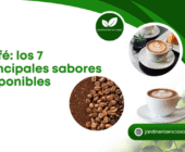 Café: los 7 principales sabores disponibles.