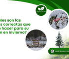 ¿Cuáles son las cosas correctas que debe hacer para su jardín en invierno?