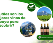 ¿Cuáles son los mejores vinos de Saboya para descubrir?