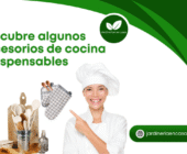 Descubre algunos accesorios de cocina indispensables